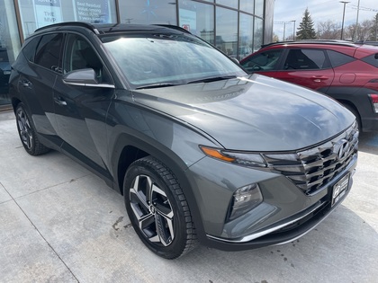 used 2023 Hyundai Tucson Hybrid car, priced at $35,338