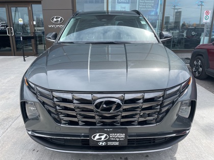 used 2023 Hyundai Tucson Hybrid car, priced at $35,338