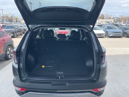 used 2023 Hyundai Tucson Hybrid car, priced at $35,338