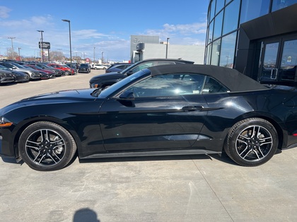 used 2023 Ford Mustang car, priced at $37,596