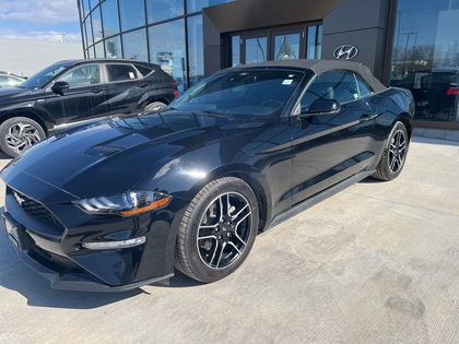 used 2023 Ford Mustang car, priced at $37,596