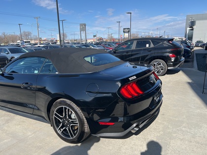 used 2023 Ford Mustang car, priced at $37,596
