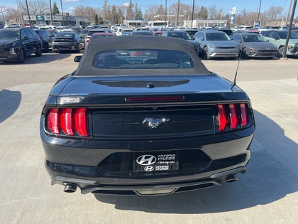 used 2023 Ford Mustang car, priced at $37,596