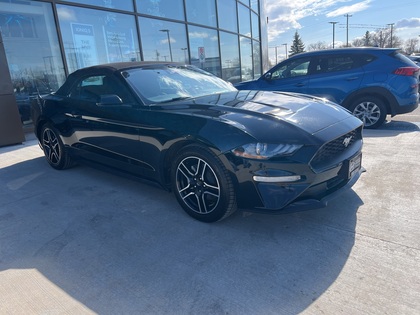 used 2023 Ford Mustang car, priced at $37,596