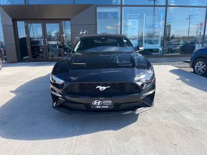 used 2023 Ford Mustang car, priced at $37,596