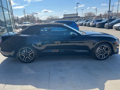 used 2023 Ford Mustang car, priced at $37,596
