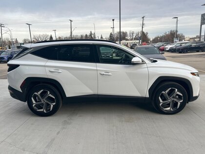 used 2022 Hyundai Tucson Hybrid car, priced at $39,986