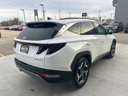 used 2022 Hyundai Tucson Hybrid car, priced at $39,986