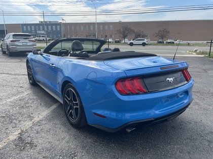 used 2022 Ford Mustang car, priced at $33,950