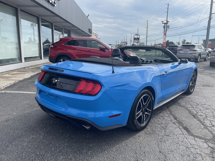 used 2022 Ford Mustang car, priced at $33,950