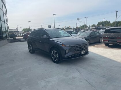 used 2022 Hyundai Tucson Hybrid car, priced at $36,792