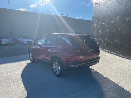 used 2024 Hyundai Tucson car, priced at $34,991