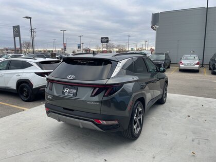 used 2023 Hyundai Tucson Hybrid car, priced at $39,998