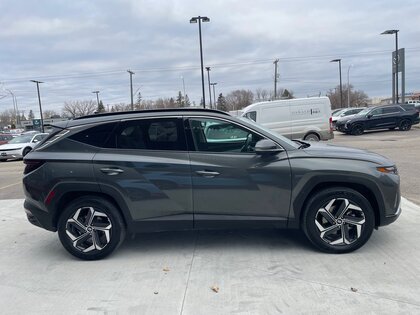 used 2023 Hyundai Tucson Hybrid car, priced at $39,998