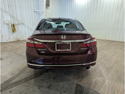 used 2017 Honda Accord Sedan car, priced at $29,226