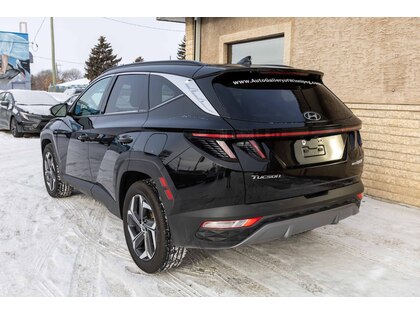 used 2022 Hyundai Tucson Hybrid car, priced at $36,488