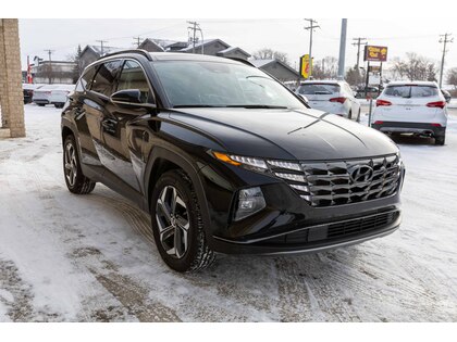 used 2022 Hyundai Tucson Hybrid car, priced at $36,488