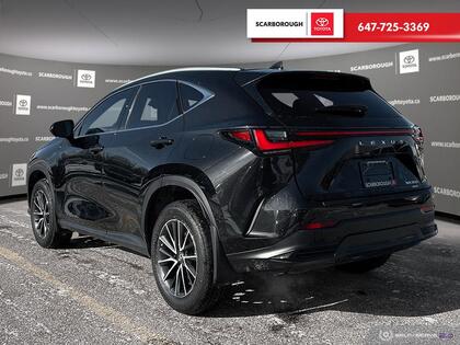 used 2024 Lexus NX car, priced at $52,995