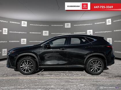 used 2024 Lexus NX car, priced at $52,995