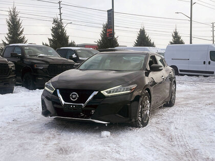 used 2019 Nissan Maxima car, priced at $22,708