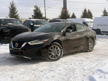 used 2019 Nissan Maxima car, priced at $22,708