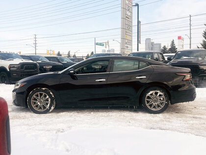 used 2019 Nissan Maxima car, priced at $22,708