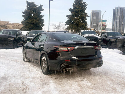 used 2019 Nissan Maxima car, priced at $22,708