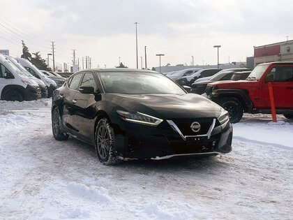 used 2019 Nissan Maxima car, priced at $22,708