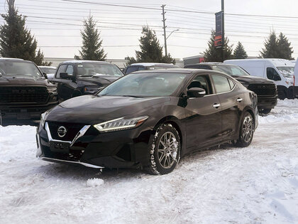 used 2019 Nissan Maxima car, priced at $22,708