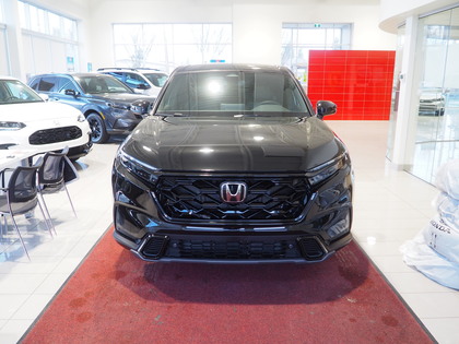 used 2025 Honda CR-V Hybrid car