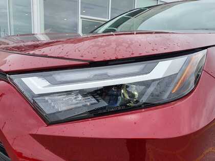 used 2023 Toyota RAV4 car, priced at $39,995