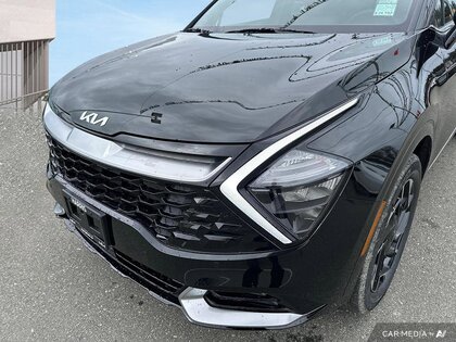 used 2025 Kia Sportage car