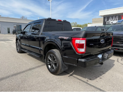 used 2023 Ford F-150 car, priced at $60,993
