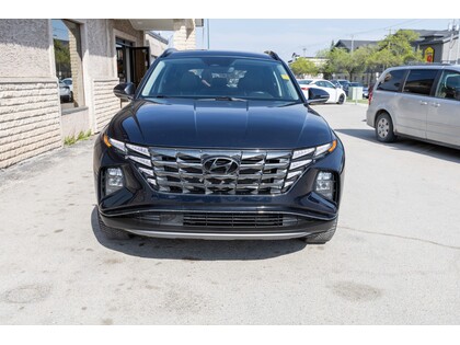 used 2022 Hyundai Tucson car, priced at $33,688