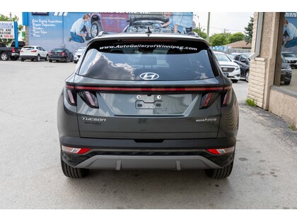 used 2022 Hyundai Tucson Hybrid car, priced at $33,688
