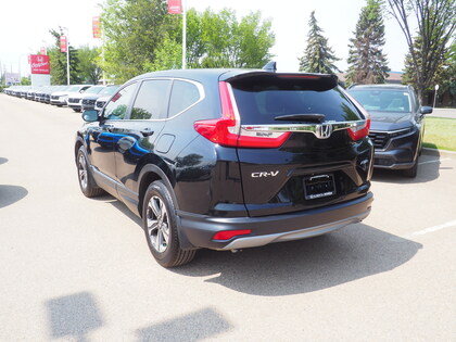 used 2019 Honda CR-V car