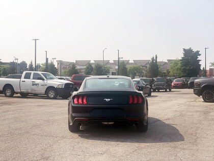 used 2018 Ford Mustang car, priced at $31,412
