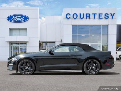 used 2022 Ford Mustang car, priced at $49,500