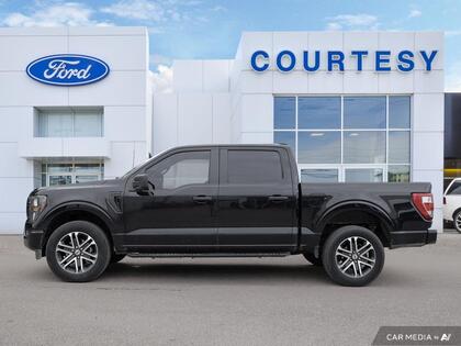 used 2023 Ford F-150 car, priced at $46,900