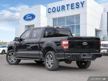 used 2023 Ford F-150 car, priced at $46,900