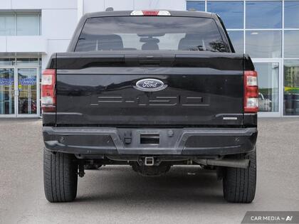 used 2023 Ford F-150 car, priced at $46,900