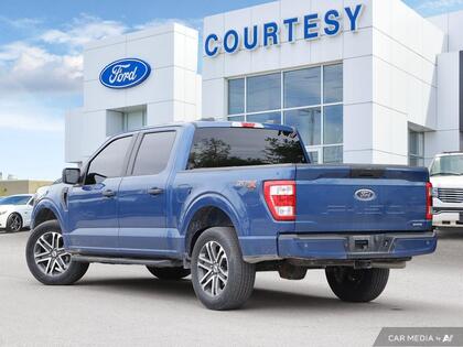 used 2023 Ford F-150 car, priced at $46,900