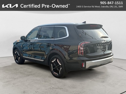 used 2024 Kia Telluride car, priced at $45,999