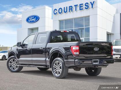 used 2023 Ford F-150 car, priced at $46,500