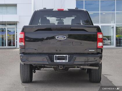 used 2023 Ford F-150 car, priced at $46,500