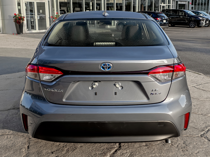 used 2025 Toyota Corolla car