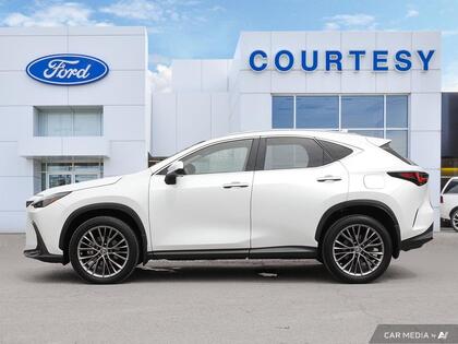 used 2022 Lexus NX car, priced at $44,900