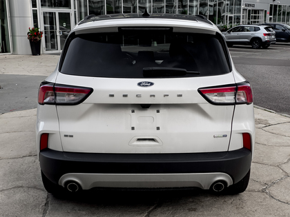 used 2020 Ford Escape car, priced at $19,995