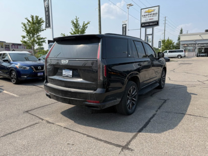 used 2021 Cadillac Escalade car