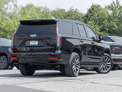 used 2021 Cadillac Escalade car
